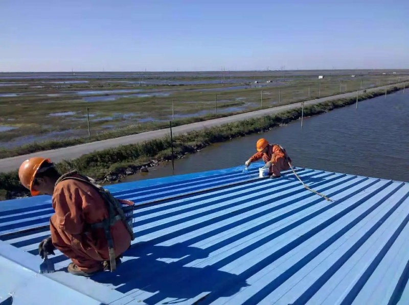 郧西钢结构屋面漏水原因